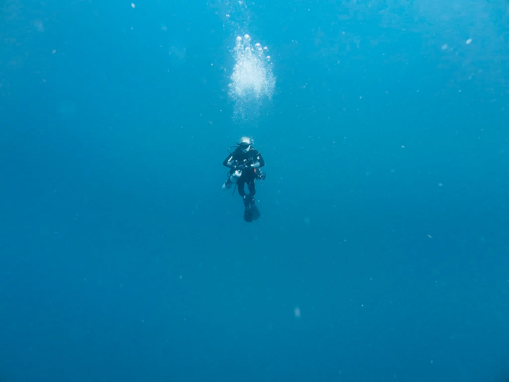 Jupiter dive sites Jupiter FL
